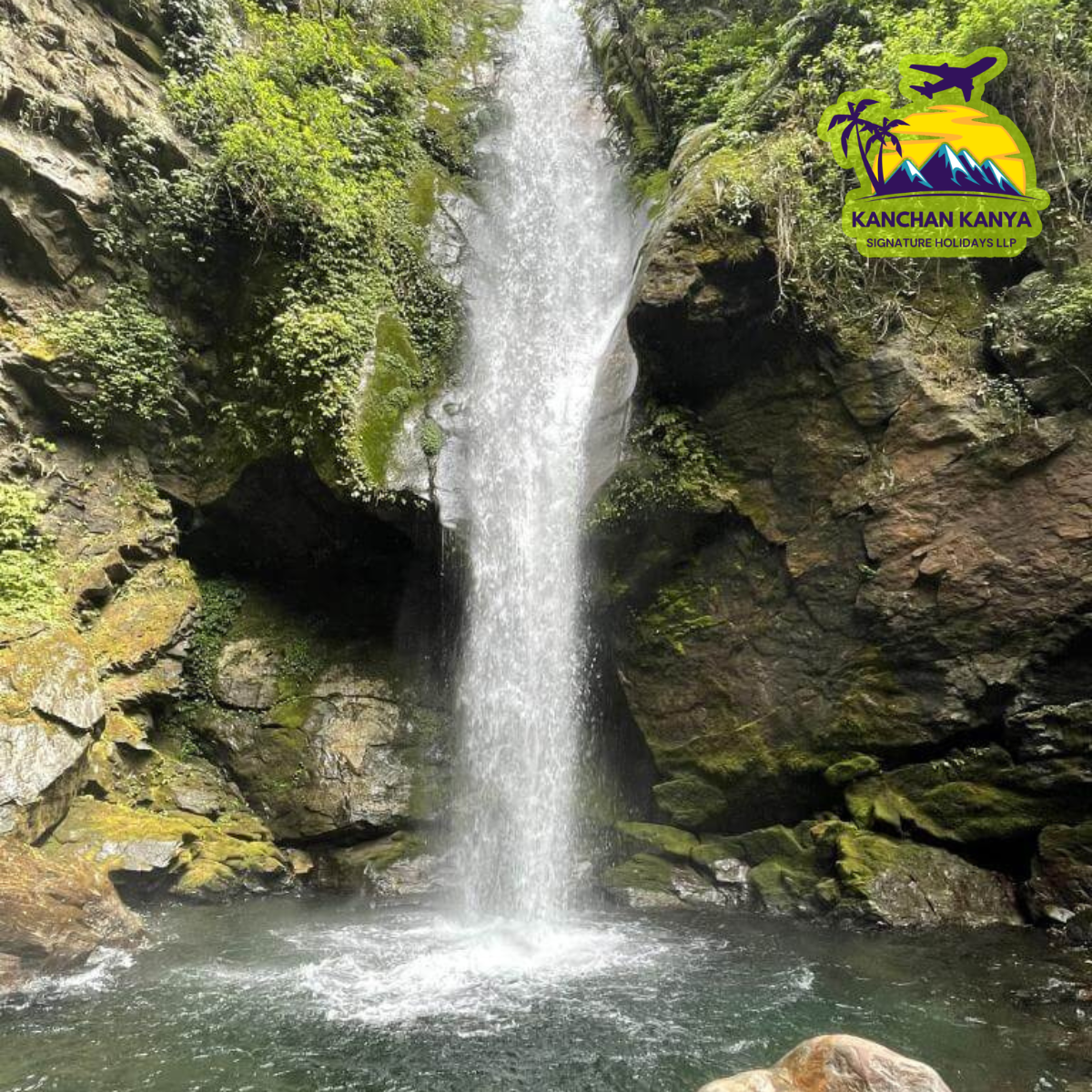 Waterfall plunging over mossy rocks into a pool, surrounded by lush greenery; logo in the top-right corner.
