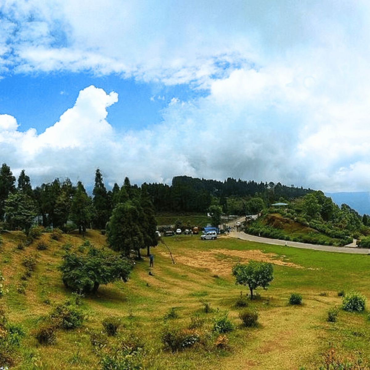 Hilly park scene with trees, a winding road, and parked cars under a partly cloudy blue sky