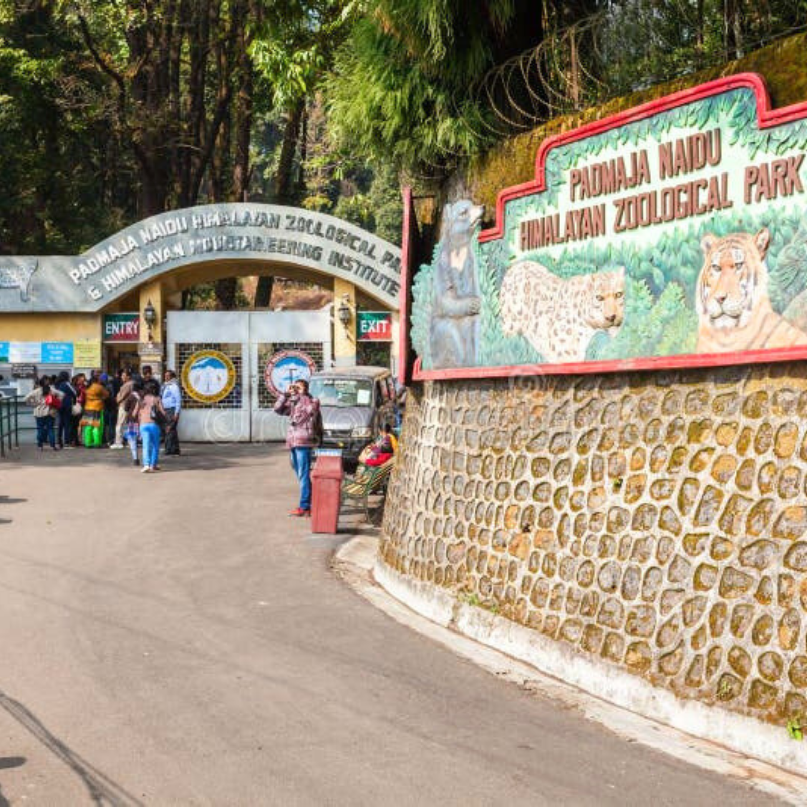Entrance to Padmaja Naidu Himalayan Zoological Park with a leopard mural on the right and visitors near the gate.