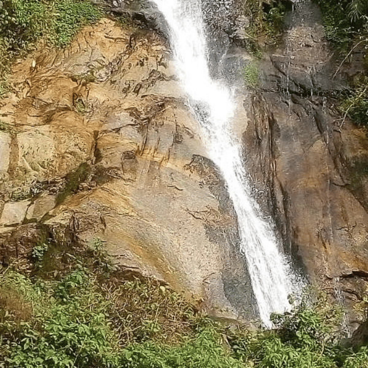 23 Waterfall cascading down a rocky cliff surrounded by green vegetation.