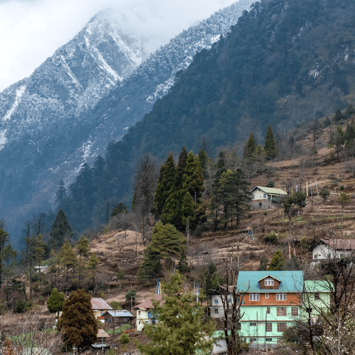 27 Mountain village on a hillside with colorful houses and conifer trees beneath snow-capped peaks.