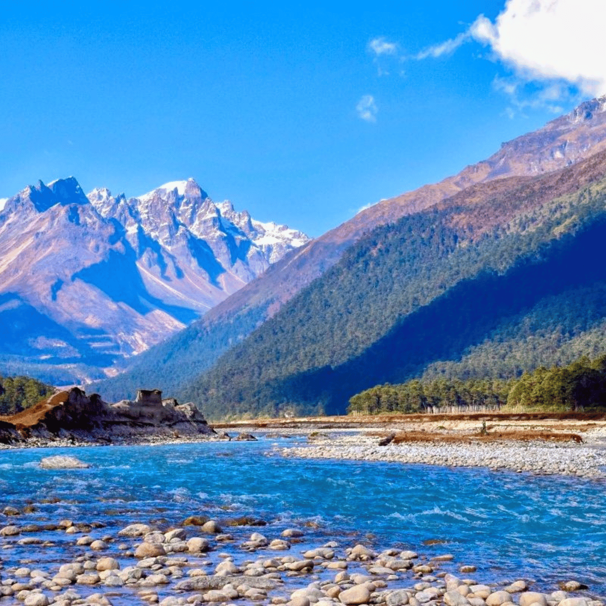 32 Alpine landscape: turquoise river runs along a rocky shore with a forested valley and snow-capped mountains under a bright blue sky.