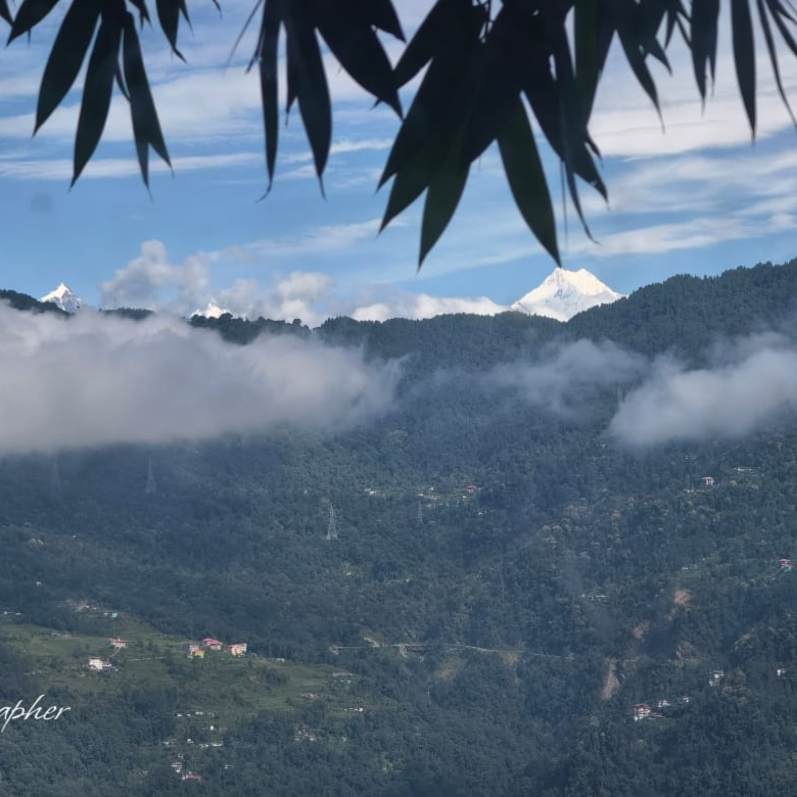 Snow-capped mountain peaks above a forested valley with scattered houses, framed by dark foreground leaves and wispy clouds in a blue sky.